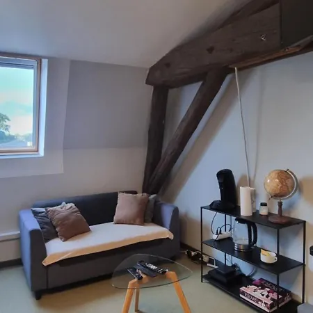 Appartement T1 Renove 23m2 Cosy Confort ! Anzin