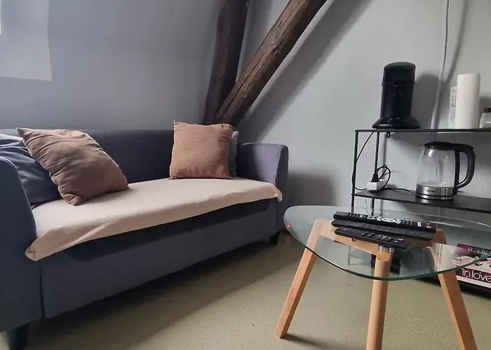 T1 rénové 23m2 Cosy Confort !