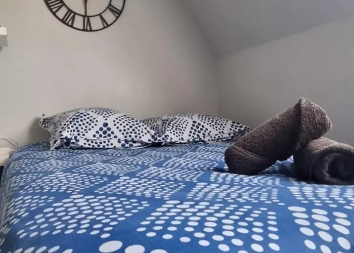 Appartement T1 rénové 23m2 Cosy Confort ! Anzin