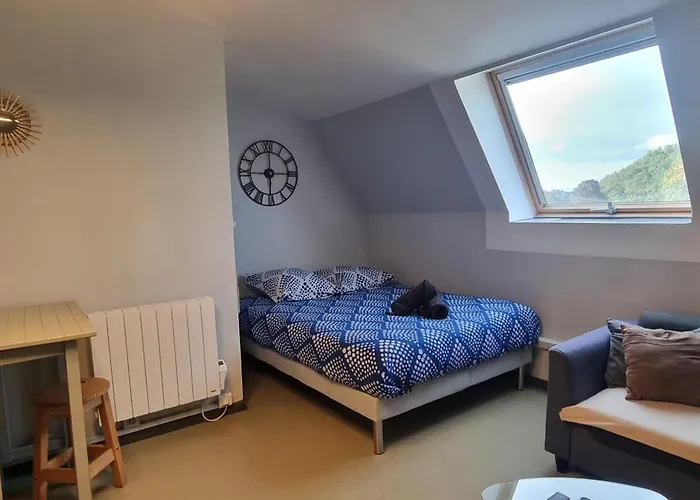 Appartement T1 rénové 23m2 Cosy Confort !