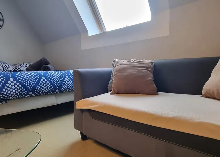T1 rénové 23m2 Cosy Confort ! Anzin